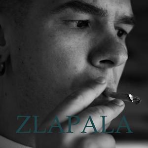 Зцапала - злапала (Cover)