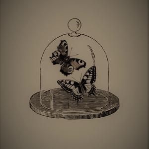 Fahey's Spiral