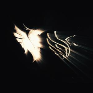 ILLENIUM-Without You（韩路遥EeV remix）