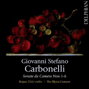 Violin Sonata No. 6 in A Major:III. Aria con variazioni se piace