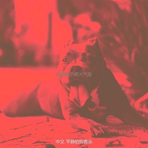 安静的小狗声音