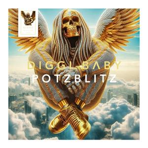 POTZBLITZ