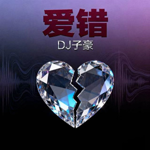 爱错 (DJ版)