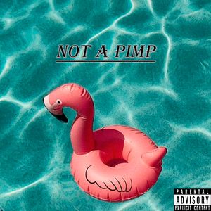 Not A Pimp