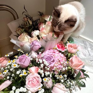 林Xer-谁 (remix)（海边的曼彻斯特 remix）