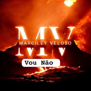 Vou Não