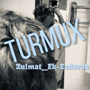 Turmux