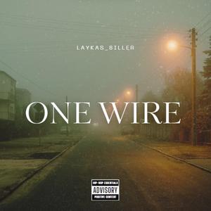 ONE WIRE