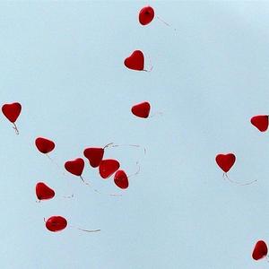 Not Just For The Night