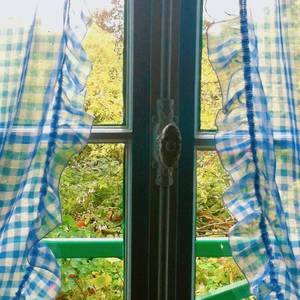 云烟成雨（翻自 房东的猫）