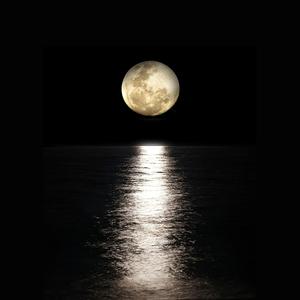 Si Jibbe Hin Janne (feat. Hanicho Oro)