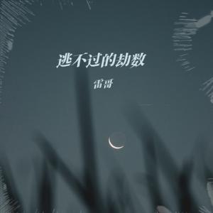 逃不过的劫数 (女生版)