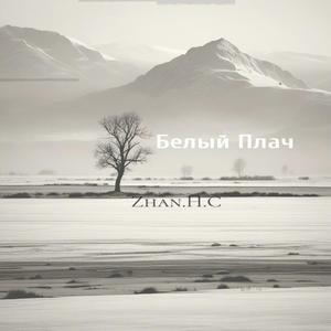 Pianto della Luna（月亮的哭泣）