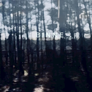 Delphi (with Piter-Jan Goodijk)