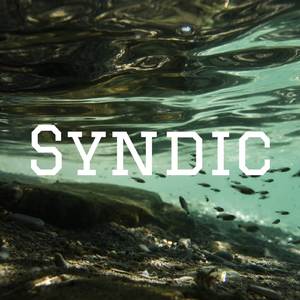 Syndic