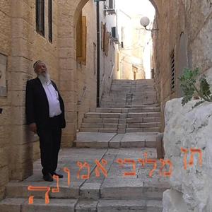 תן מליבי אמונה