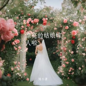 漂亮的姑娘就要嫁人啦 (陈小潇 Remix)