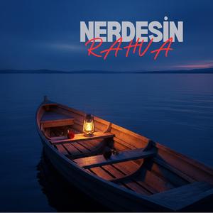 NERDESİN