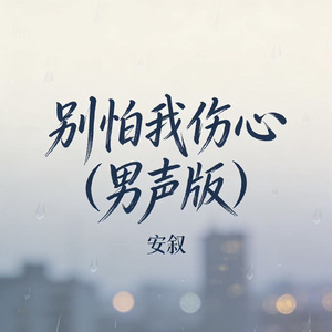 别怕我伤心（男声版）
