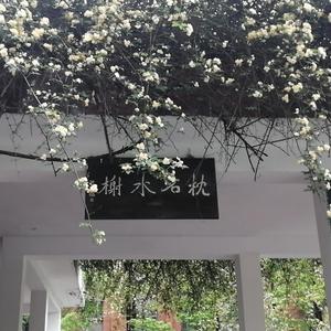 送别（cover留声玩具）