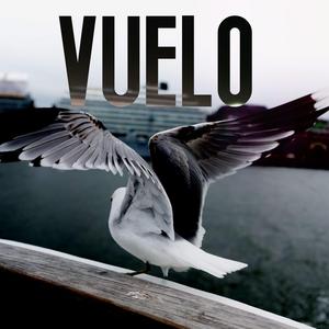 VUELO