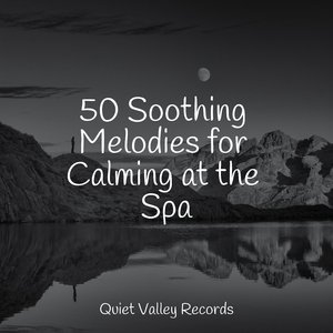 Stress Free Sounds