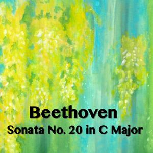 Sonata No. 20 in C major: I