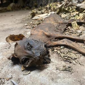 BR3VK!N-T!D3$ (feat. Happy2BaGaud & JVY-RXW)