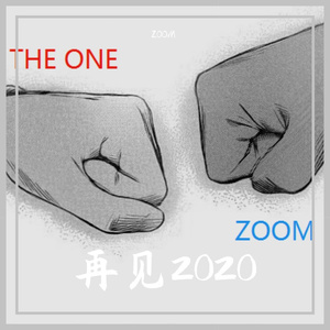 再见2020