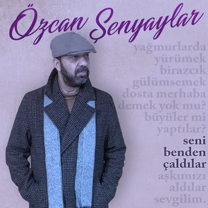 Seni Benden Çaldılar