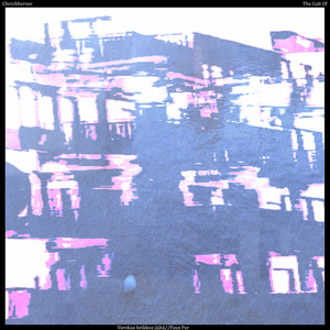 Varokaa heikkoa jäätä