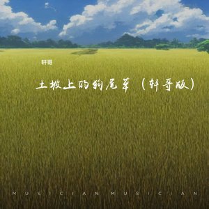 土坡上的狗尾草（轩哥版）