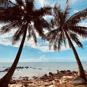 适合按摩从容的音乐