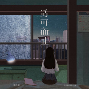 适可而止 (DJ Eva版)