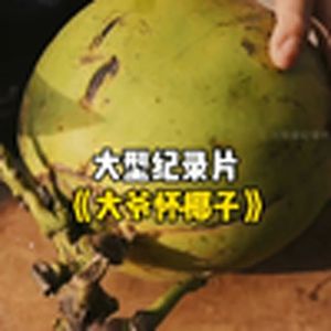 大型纪录片《大爷怀椰子》