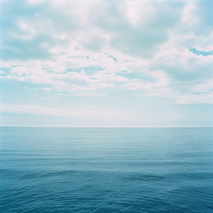 Water's Edge