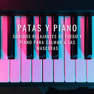 Piano Sanador Para El Alma De Las Mascotas