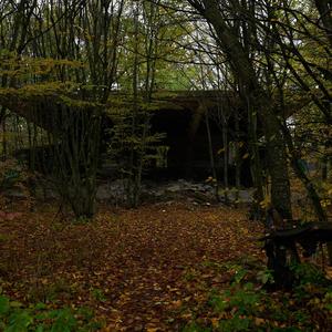 Changing The Painless Life