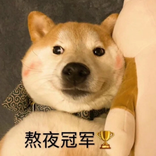 不是我爱熬夜，而是黑夜需要我这颗璀璨的星