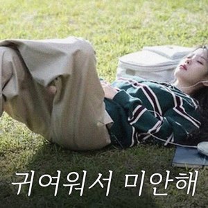 可愛くてごめん (귀여워서 미안해) - ちゅーたん 아이유 IU ai cover