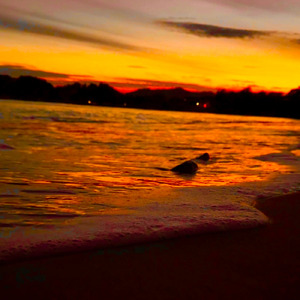 あなたのために