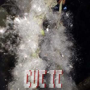 Cut iT (feat. CODE B)