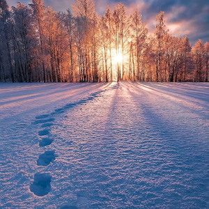 Kona Jay （老地方）