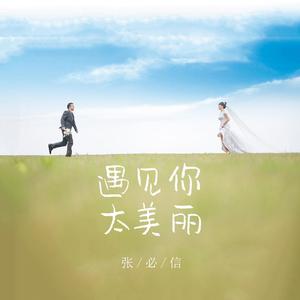 遇见你太美丽 (伴奏)