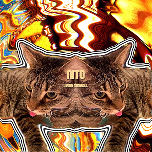 Nito