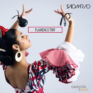 Flamenco Trip