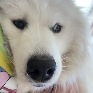 专属#百万奖金AI创作大赛+主题二