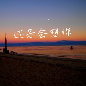 还是会想你