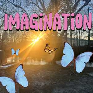 Imagination