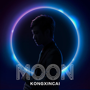 月亮代表我的心里有问题（翻自 邓丽君）